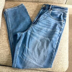 American Eagle Mom Jean